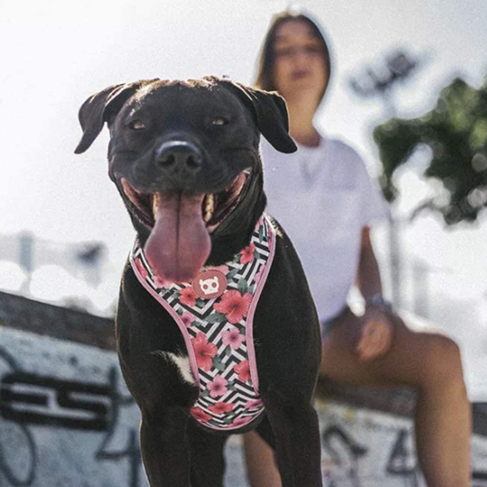 Arnés Air Mesh Plus Modelo Mahalo ZeeDog® - Imagen 4