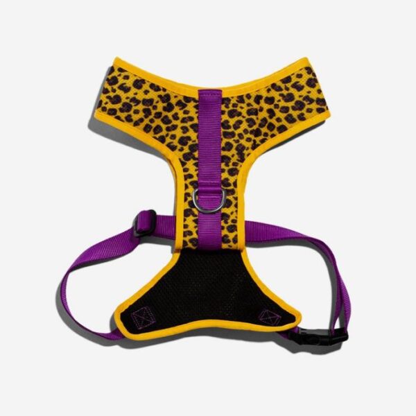 Arnés Air Mesh Plus Modelo Honey ZeeDog® - Imagen 2