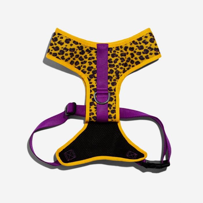 Arnés Air Mesh Plus Modelo Honey ZeeDog® - Imagen 2