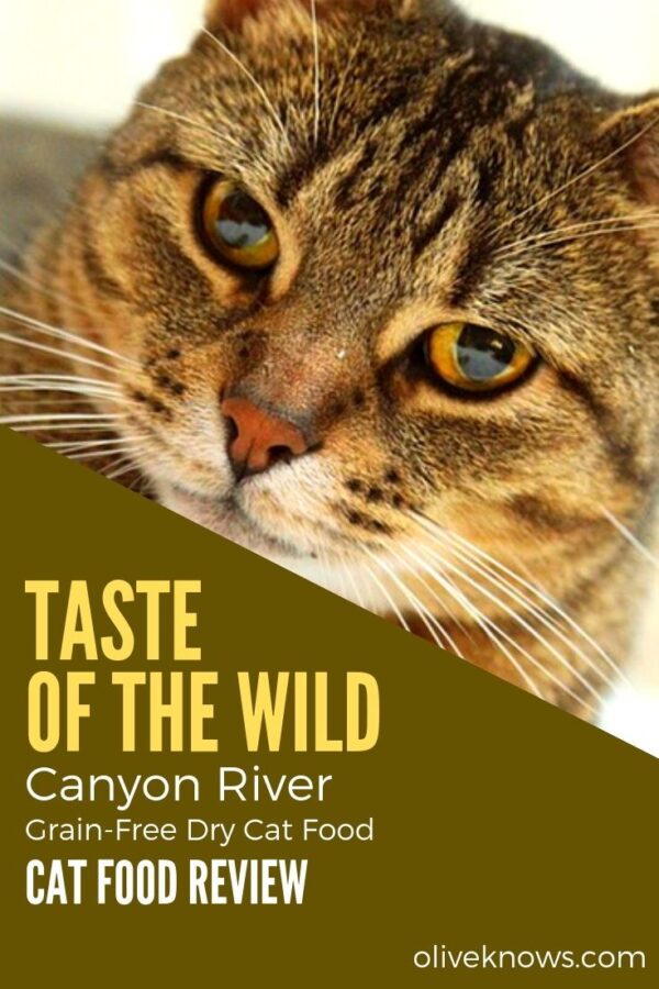 Taste of the wild Canyon River - Imagen 2