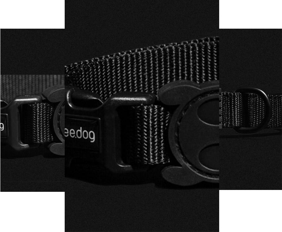 Collar para perros Modelo "Gotham" Zeedog® - Imagen 2