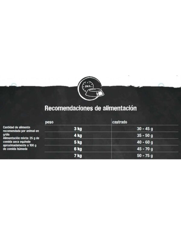 LEONARDO  Grain Free SALMON - Imagen 2