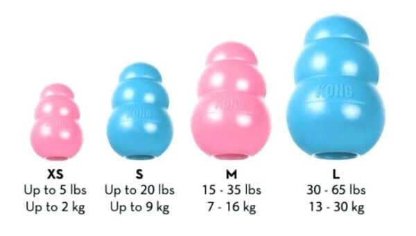 Kong Puppy Cachorro Rosado - Imagen 4