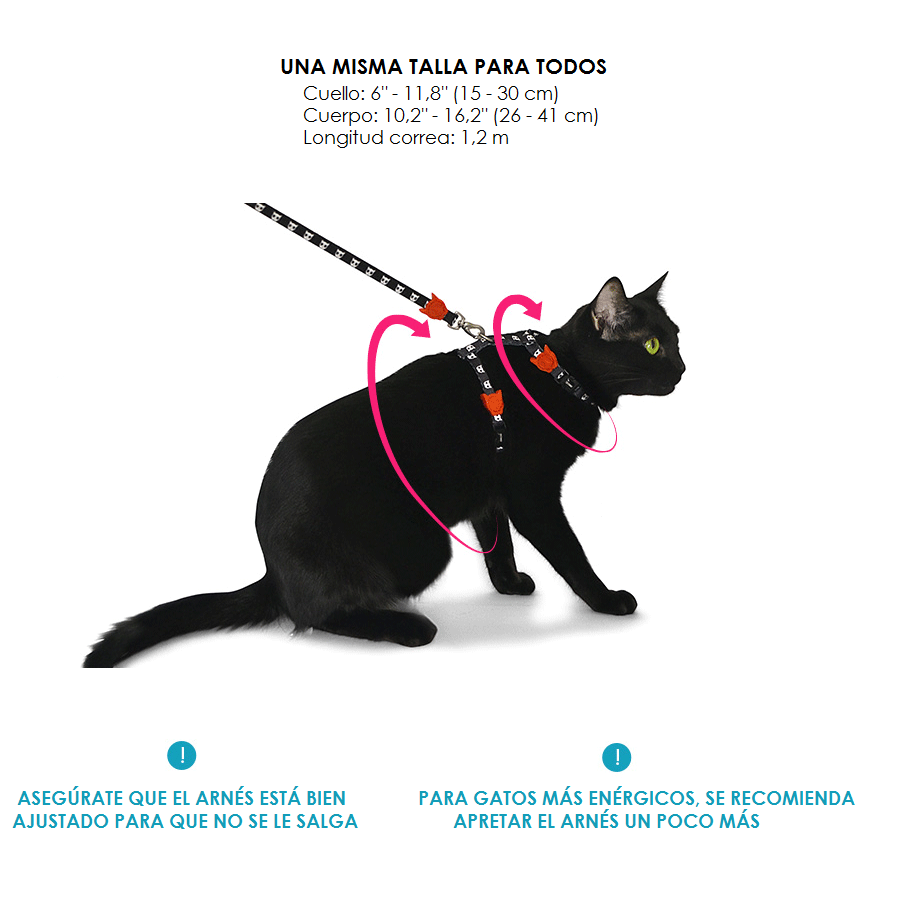 ZeeCat  Atlanta Leash + Arnes - Imagen 3