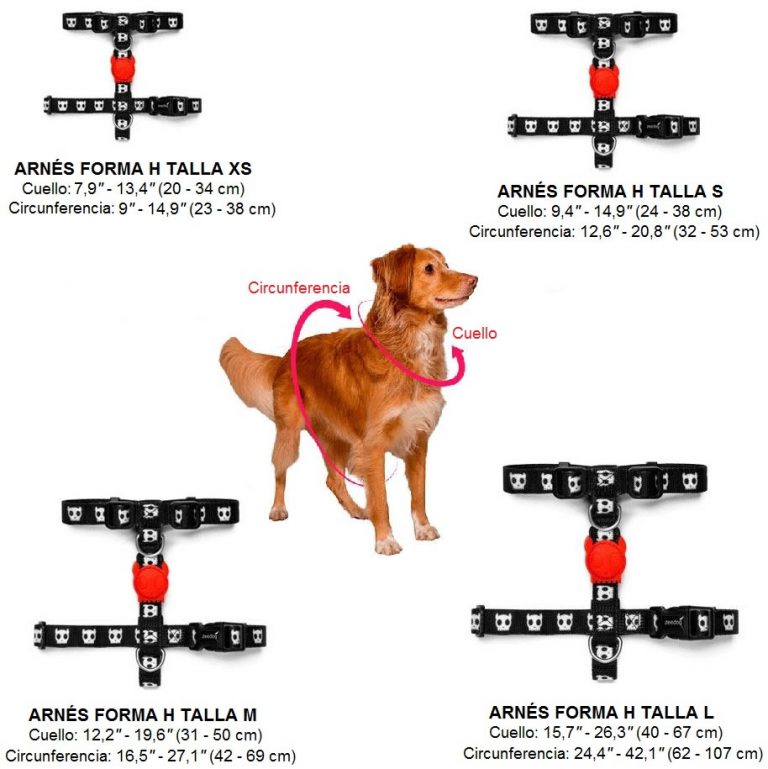 NEOPRO BLUE H-HARNESS ZEEDOG - Imagen 2