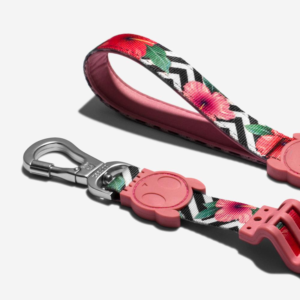 Correa modelo "Mahalo" Zeedog® - Imagen 3