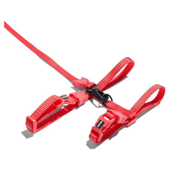 ZeeCat Neon Coral Leash + Arnes - Imagen 3