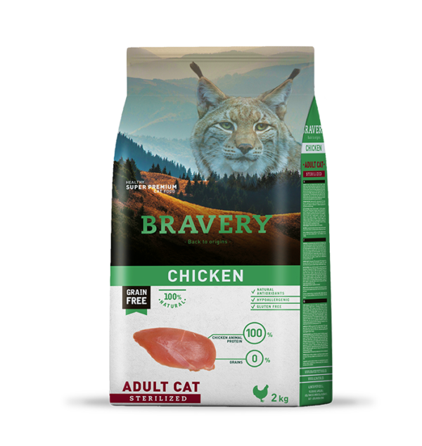 Bravery Chicken Gato adulto esterilizado