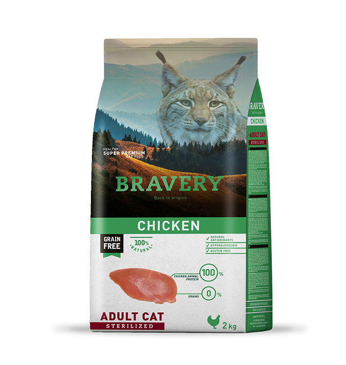 Bravery Chicken Gato adulto esterilizado