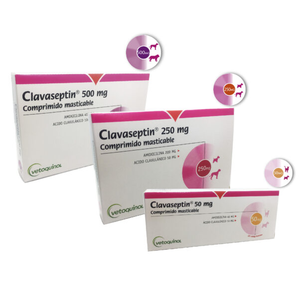 Clavaseptin Amoxicilina + Ac Clavulánico