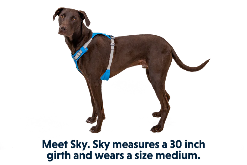 Ruffwear Arnés "Hi & Light" Blue Dusk - Imagen 7