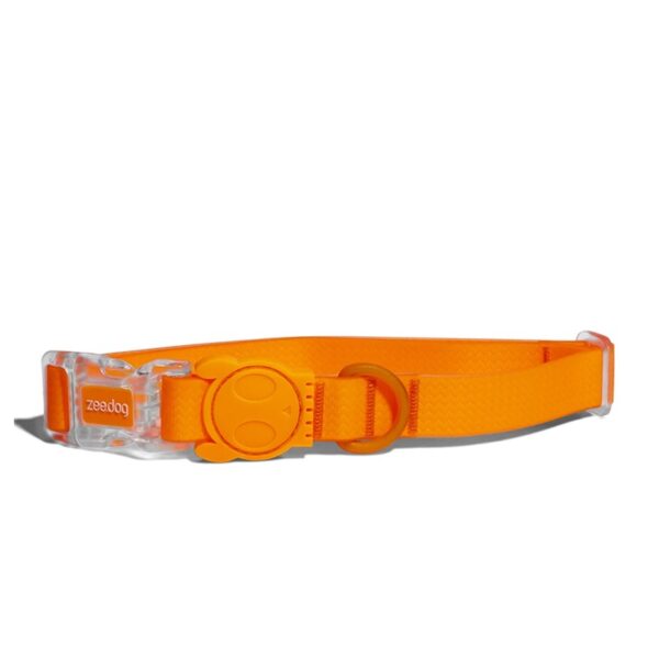 Collar para perros Neopro "Tangerine" Zeedog®