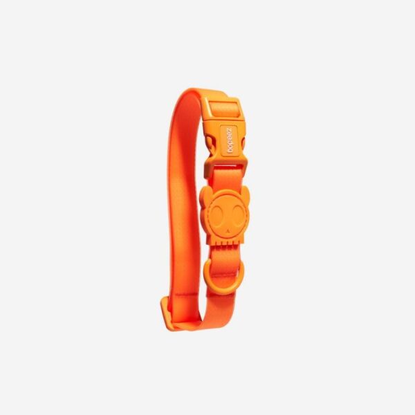 Collar para perros Neopro "Tangerine" Zeedog® - Imagen 2