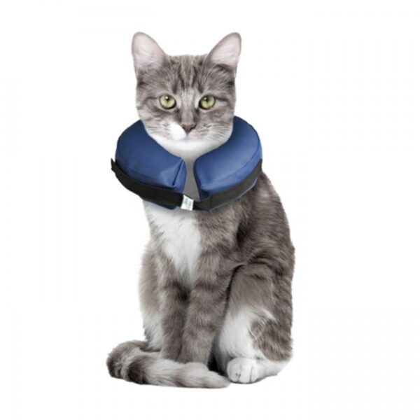 Collar Isabelino Inflable para Perros - Imagen 2