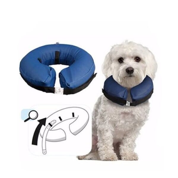 Collar Isabelino Inflable para Perros