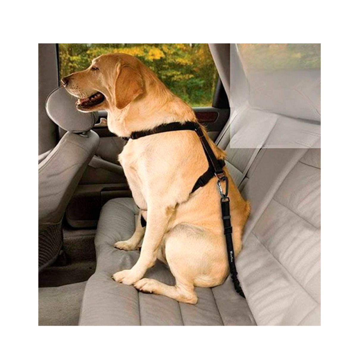 Cinturón De Seguridad con elástico para vehículos - Imagen 2