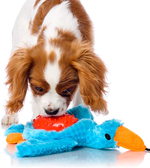 Hartz Squeak & Treat Dog Toy - Imagen 7