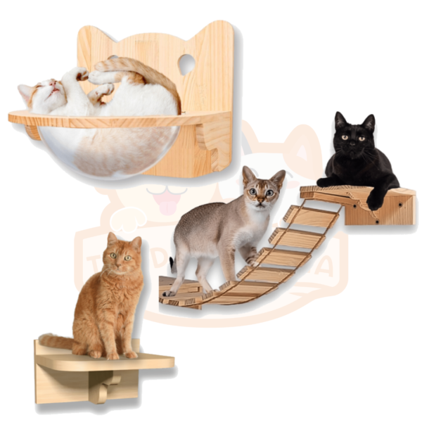 Gatificación - Gimnasio para gatos
