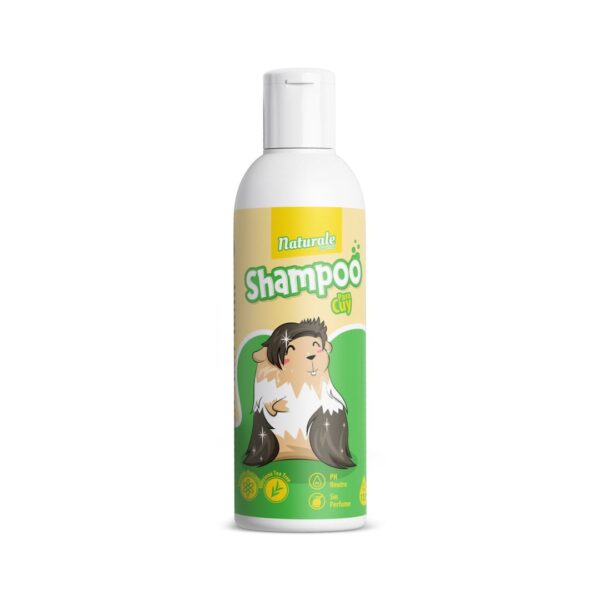 NFP SHAMPOO CUY