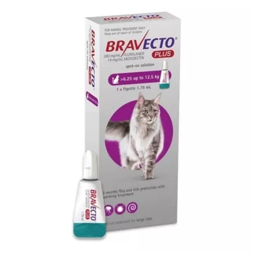 BRAVECTO PLUS GATO - 6,25 KG a 12,5 kg