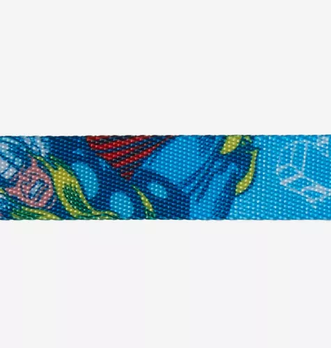 Collar para perros Modelo Thor Zeedog - Imagen 2