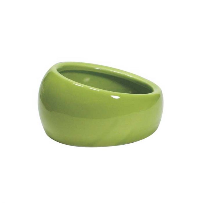 LIVING WORLD PLATO ERGONÓMICO VERDE - Imagen 2