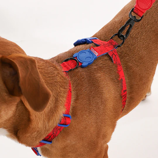 Arnés en H Modelo Spiderman ZeeDog - Imagen 3