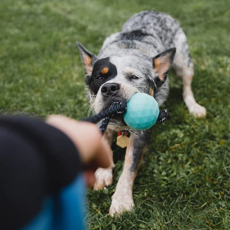 Zippytuff Ball on rope - Waggle - Imagen 2