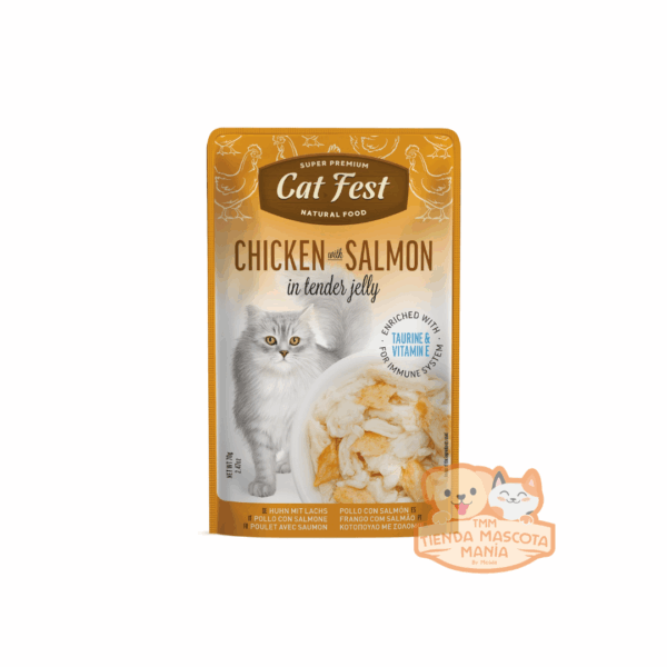 Catfest pouch Chicken with Salmon 70 gr