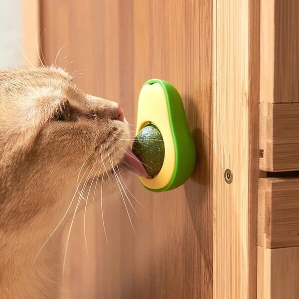 Mini Palta con Bola  de catnip Giratoria - Imagen 2